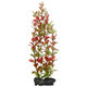 Tetra Red Ludwigia L dekorace rostlina 30 cm