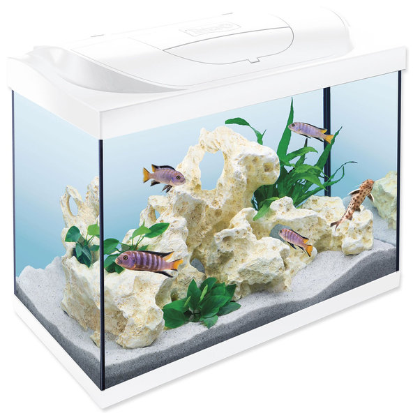 Tetra Starter Line LED bílý akvarijní set 61 × 32 × 51 cm 80 l