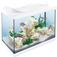 Tetra Starter Line LED bílý akvarijní set 61 × 32 × 51 cm 80 l