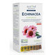 Avropa Echinacea purpurová bylinné kapky 50 ml