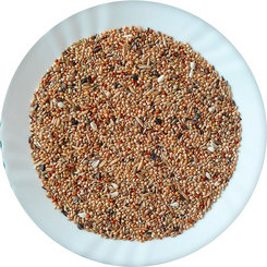 Avicentra drobný Exot Premium směs 20 kg