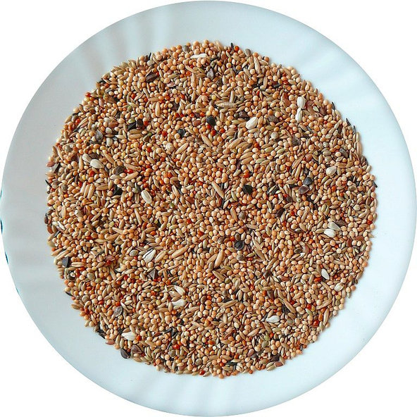 Avicentra drobný Exot Premium směs 20 kg