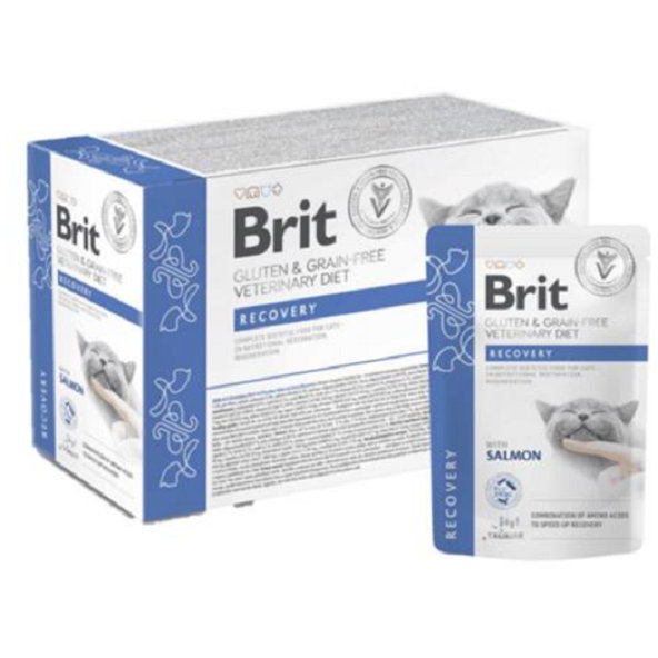 Brit VD Gluten & Grain Free Cat kapsičky Recovery 12×85 g