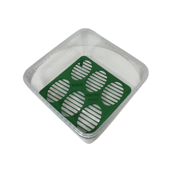 INCUBATION BOX L inkubační box na vejce plazů 190×190×110 mm