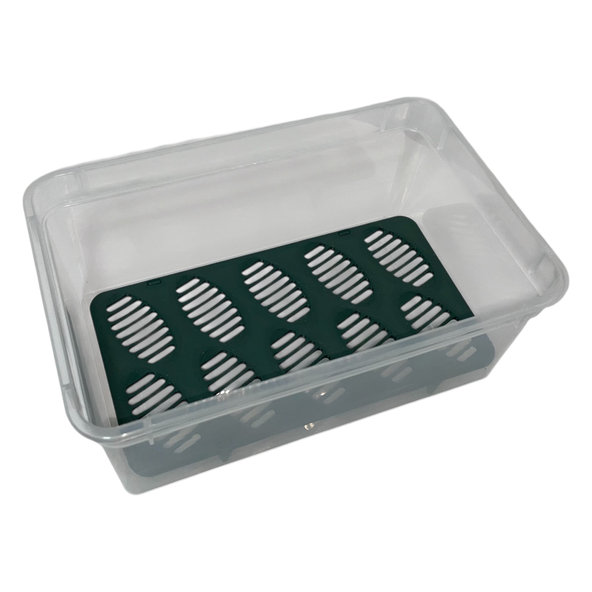 INCUBATION BOX M inkubační box na vejce plazů 190×120×75 mm