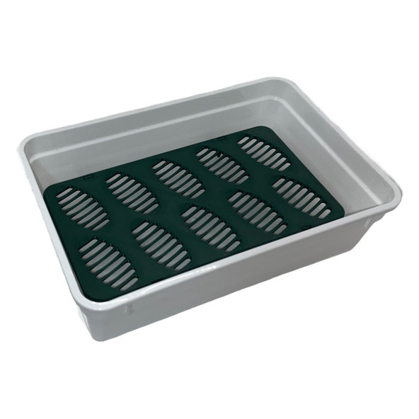 INCUBATION BOX S inkubační box na vejce plazů 190×120×50 mm
