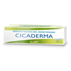 CICADERMA dermální mast 30 g