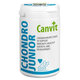 Canvit Chondro Junior pro psy 230 tablet
