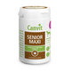 Canvit Senior Maxi pro psy 100 tablet