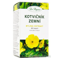 DR. POPOV Kotvičník zemní 60 kapslí