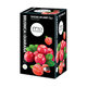 FYTO brusinka a guarana ovocno-bylinný čaj 20x2 g