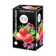 FYTO jahoda a echinacea čaj 20x2 g
