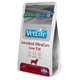 Farmina Vet Life Dog Intestinal Ultracare granule pro psy 1,5 kg