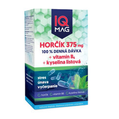 IQ Mag Hořčík 375 mg + vitamin B6 + kyselina listová 60 kapslí