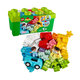LEGO DUPLO box s kostkami 10913