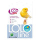 Lolopets Super Color vitamíny pro kanárky 20 g