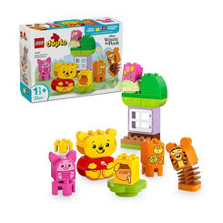 LEGO DUPLO narozeninová oslava Medvídka Pú 10457