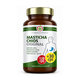 Medika Pharm Masticha Chios Original 120+30 kapslí