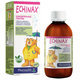 Pharmalife Echinax koncentrovaná tekutina 200 ml