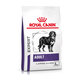 Royal Canin Adult Large Dog kompletní granule pro dospělé psy velkých plemen 13 kg