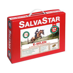 Salvastar E-Selen brikety pro koně 5 kg
