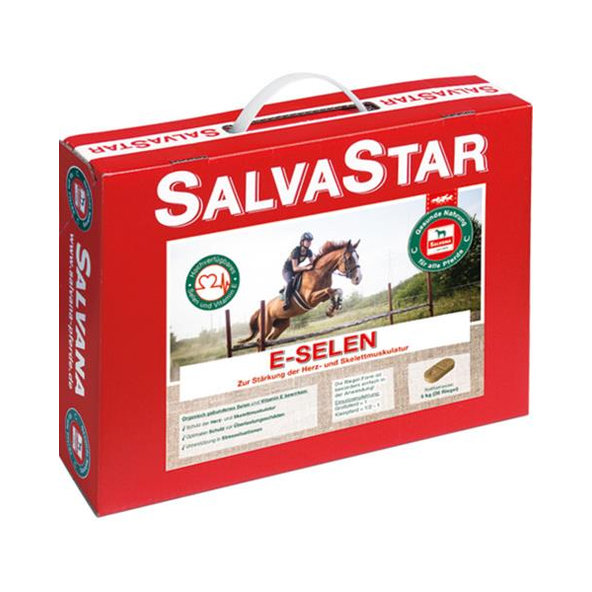 Salvastar E-Selen brikety pro koně 5 kg