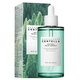 SKIN1004 Madagascar Centella Tea-Trica Relief Ampoule sérum 100 ml