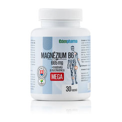 EDENPharma Hořčík B6 MEGA 30 kapslí