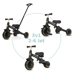 QPLAY Tříkolka Stager 3v1 platinum do 25 kg