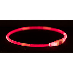 TRIXIE USB světelný obojek pro psy S–M 40 cm / 8 mm