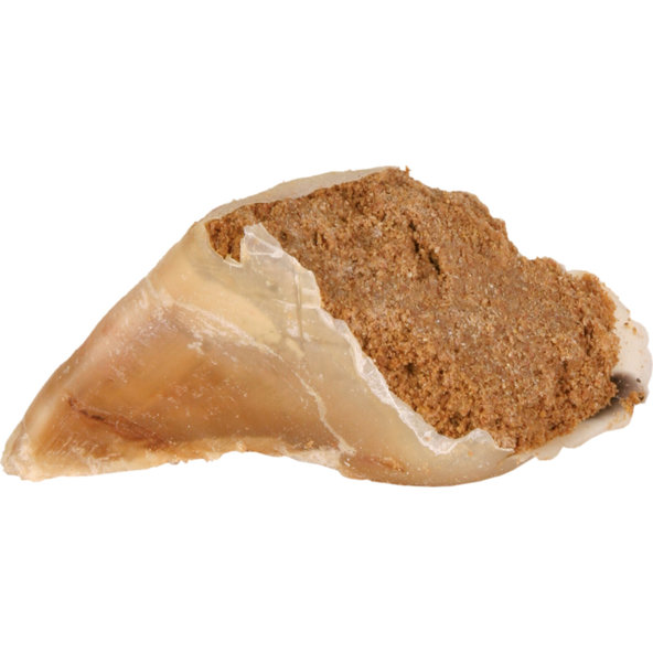 TRIXIE plněné hovězí kopyto pro psy 115 g