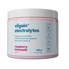 Vilgain Elektrolyty malina 320 g