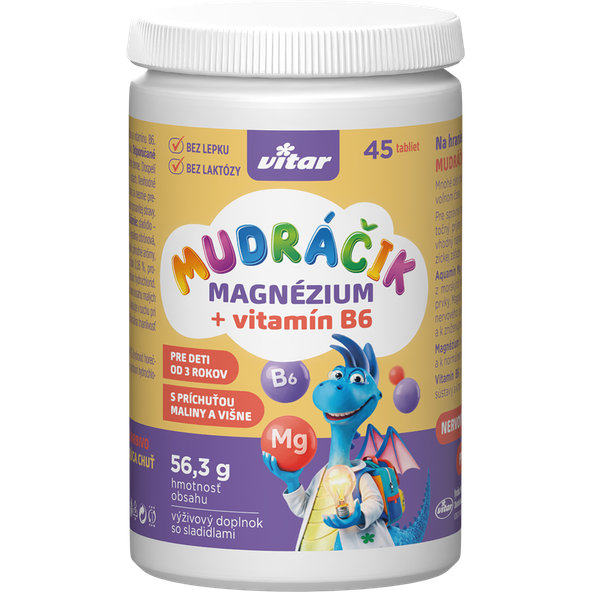 VITAR Mudráčik hořčík + B6 45 tablet