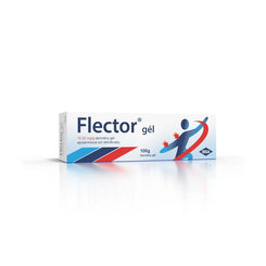 Flector gel 100 g