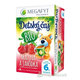 MEGAFYT detský čaj BIO malina a jahoda 6m+ 20×1,75 g