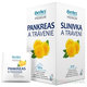 HERBEX pankreas a trávení bylinný čaj 20x1,5 g