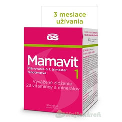 GS Mamavit 1 Plánování a 1. trimestr 90 tablet