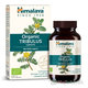 Himalaya Organic Tribulus 60 kapslí