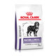 Royal Canin Mature Consult Large Dog granule pro stárnoucí velké psy 14 kg