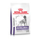 Royal Canin Mature Consult Medium granule pro stárnoucí středně velké psy 10 kg