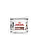 Royal Canin Recovery konzerva pro psy a kočky na podporu rekonvalescence 195 g