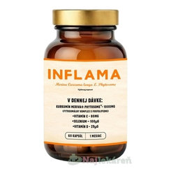 Inflama kurkumin s vitaminy 60 kapslí