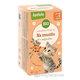 APOTHEKE Rozprávka rakytník BIO bylinný čaj 20x1,5 g