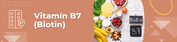 Vitamin B7 - Biotin - vitamín H
